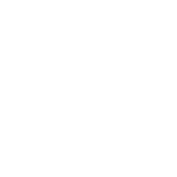 missing-icon